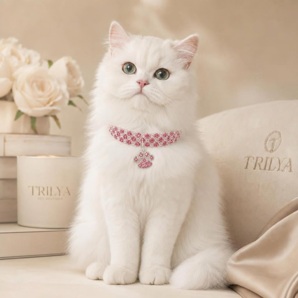 Diamond Pet Collar — Sparkly Rhinestone Necklace for Cats & Dogs | Trilya Boutique
