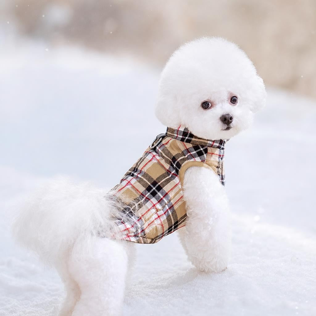Fluffy dog in the Trilya plaid puffer down jacket
