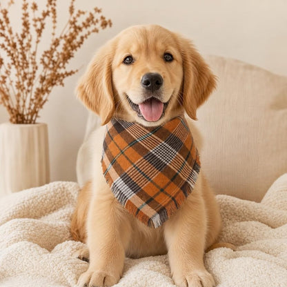 Golden puppy in the Trilya fall plaid tassel bandana