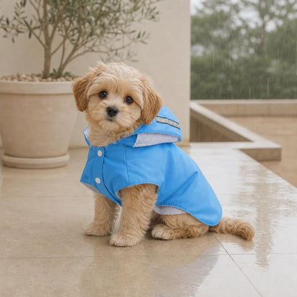 Puppy in the Trilya reflective small-dog raincoat