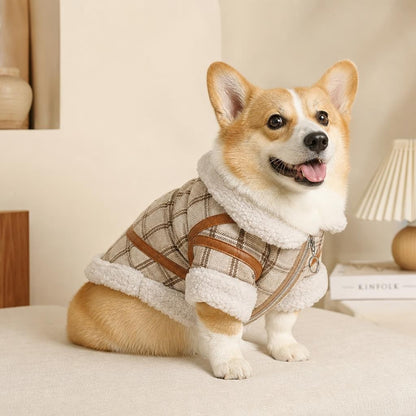 Corgi in the Trilya plaid lamb-velvet dog outfit